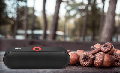 Dual Driver Loud Bluetooth Speaker - gadgetooze