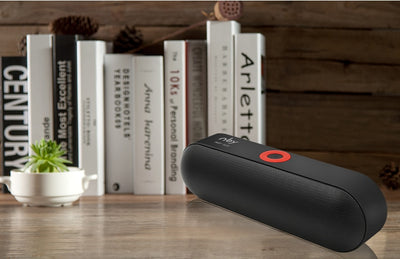 Dual Driver Loud Bluetooth Speaker - gadgetooze