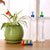 Watering Attachment Spray-Head Kit - gadgetooze